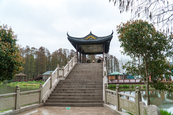 踏春赏花拍美景,踏春赏花逛湖