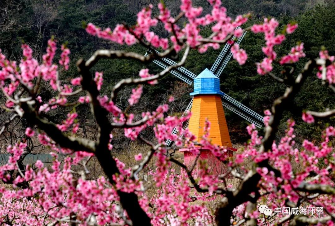 走进春天的环翠公园,环翠景色