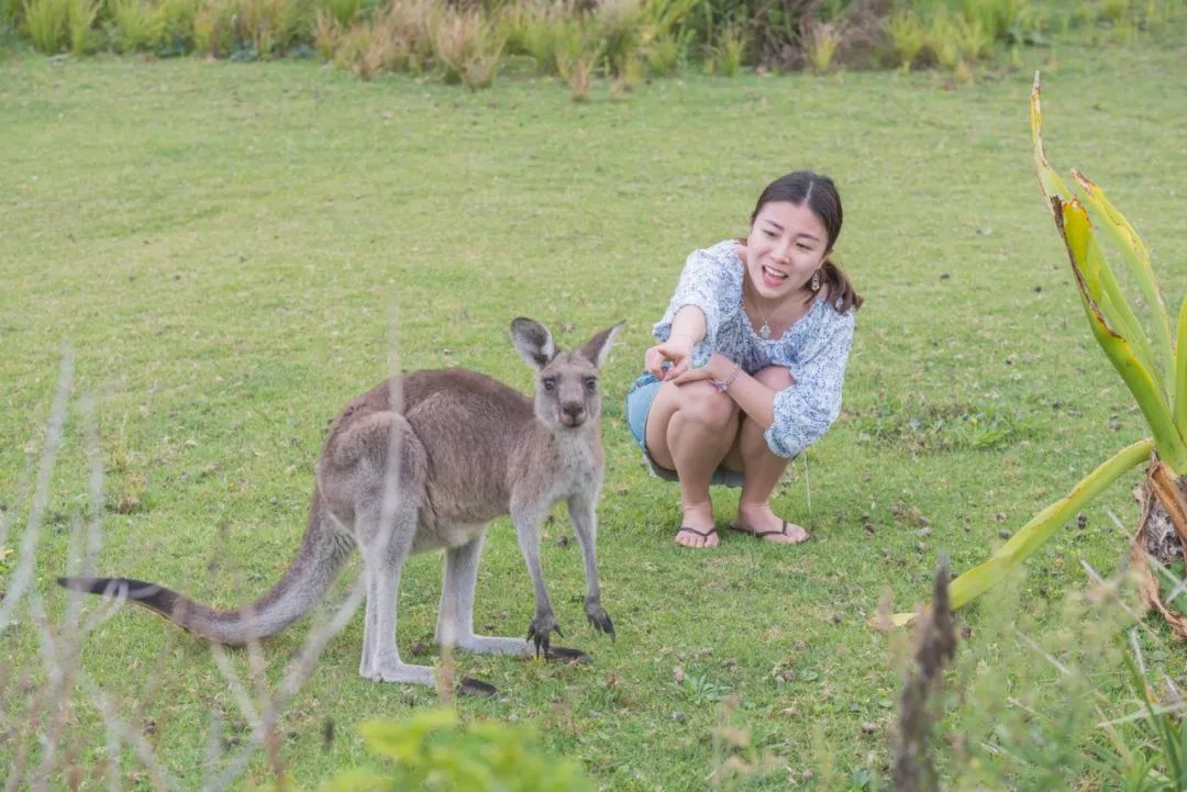 悉尼到阿德莱德自驾游,澳大利亚阿德莱德悉尼距离