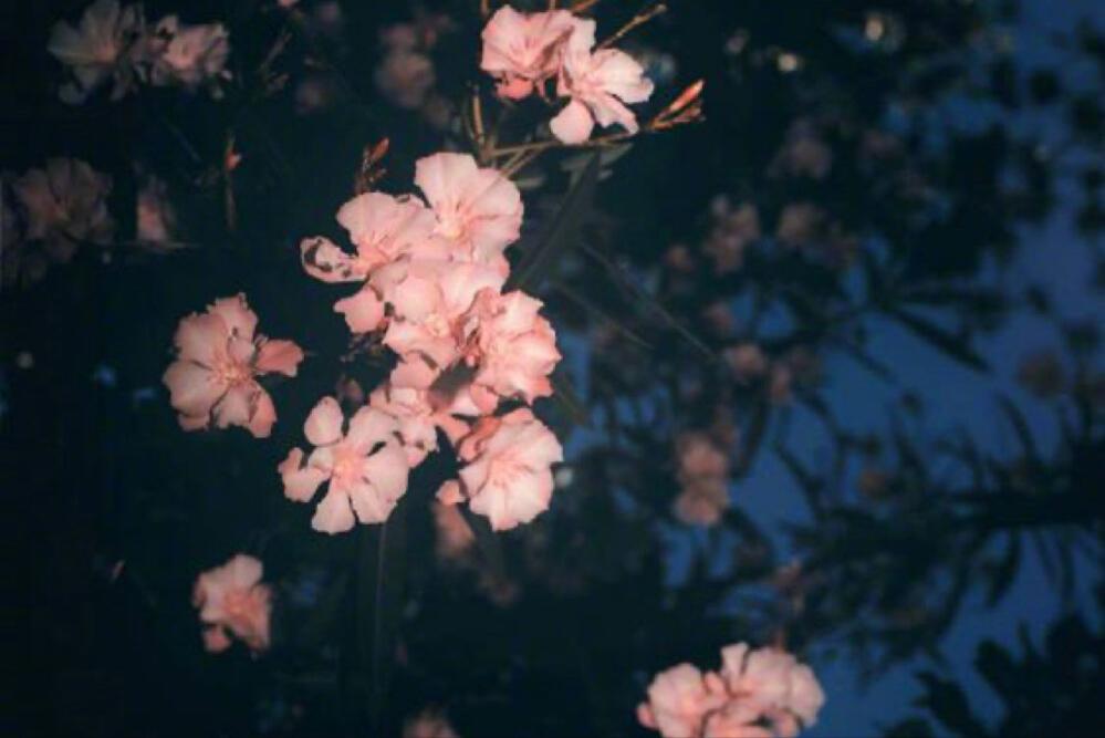 和摩羯座交往的三个阶段是,如何和摩羯座感情升温呢