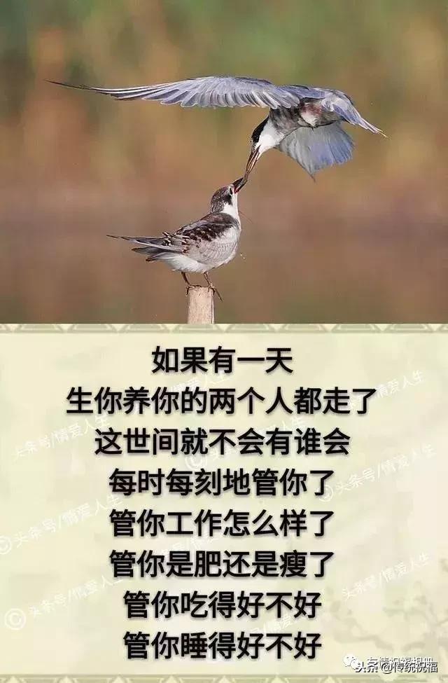 我的家庭相册怎么弄,我的家庭相册全集