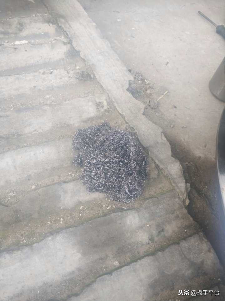 油烟机怎样清洗最快最省时的方法,抽油烟机清洗技巧全攻略