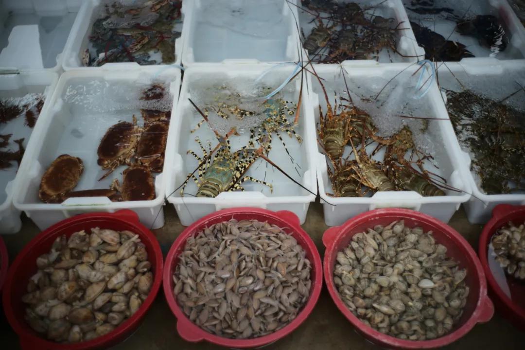 海南最大的渔港码头,在海南岛最霸气的渔港码头