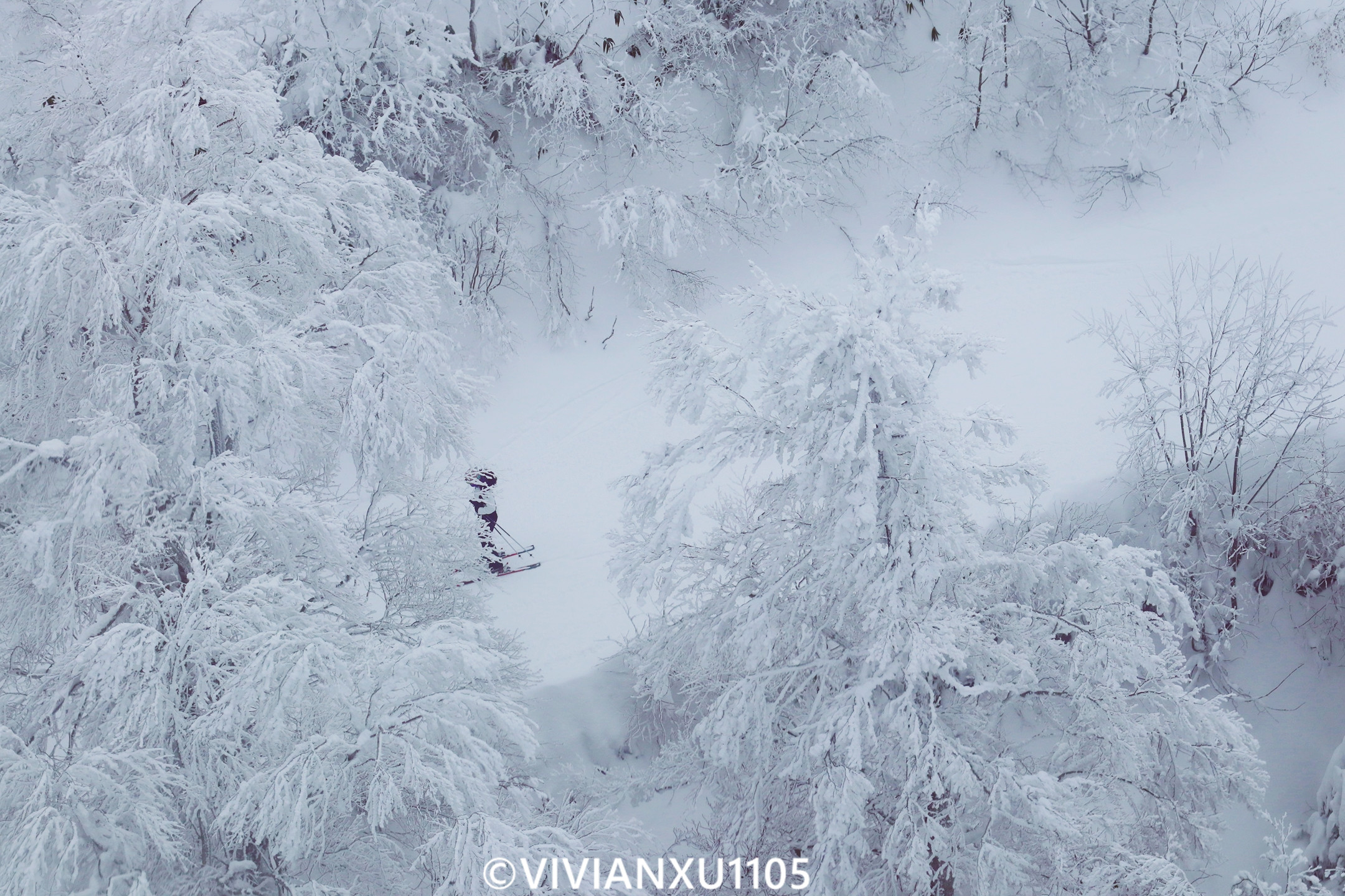 塑料母女日本东北深度游（秋田山形）