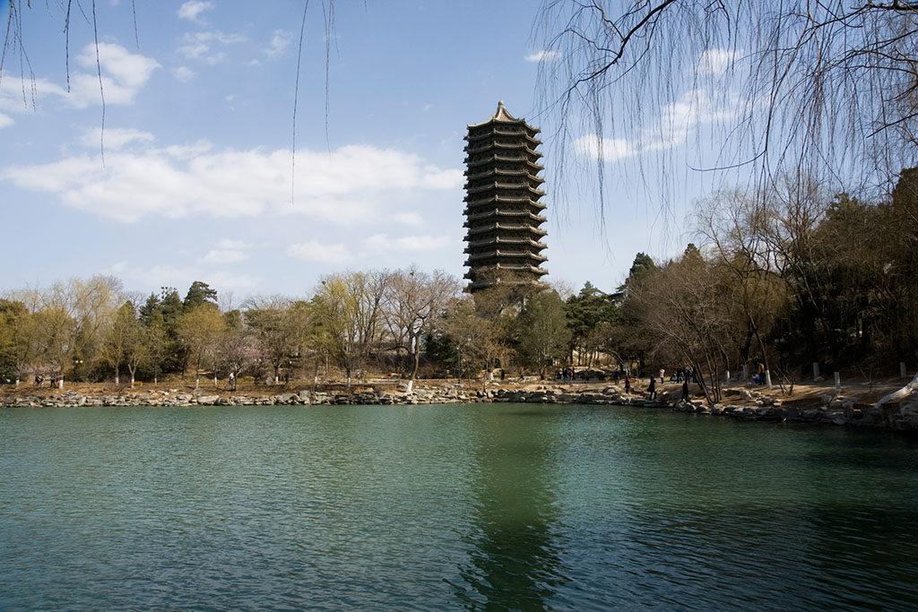 名校毕业生放弃高薪回乡,名校毕业选择回老家