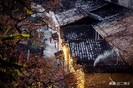 赠人玫瑰，手留余香，农民朋友送出柿子，得到的回报满满