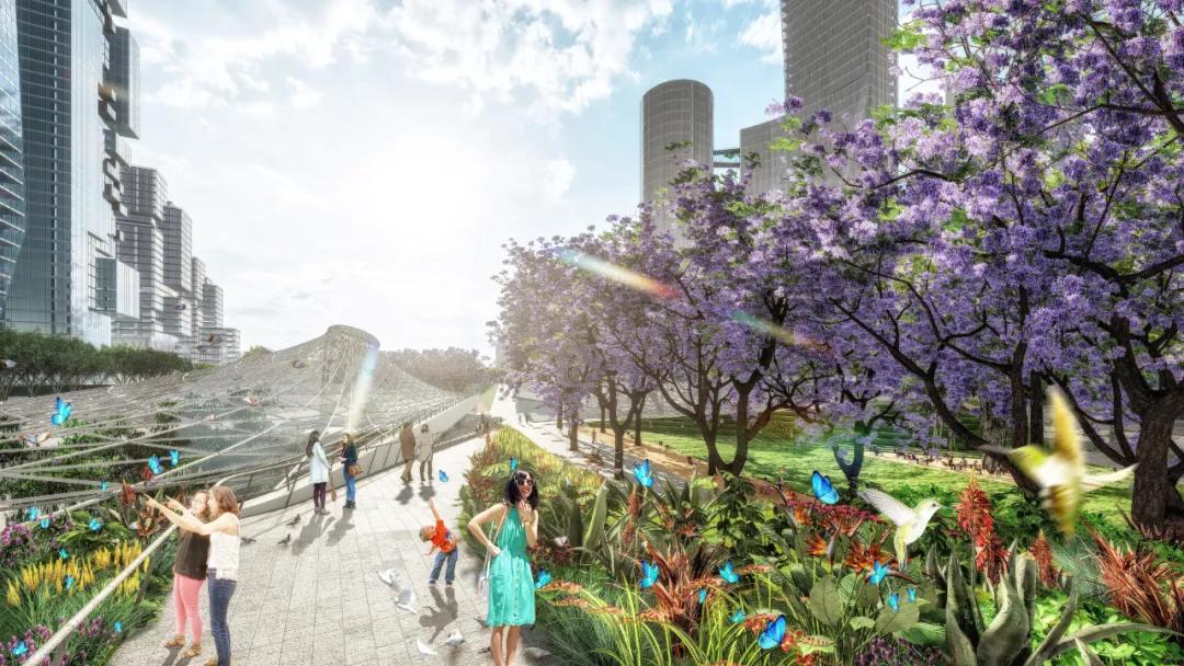 深圳湾超级总部基地绿化,深圳湾超级基地