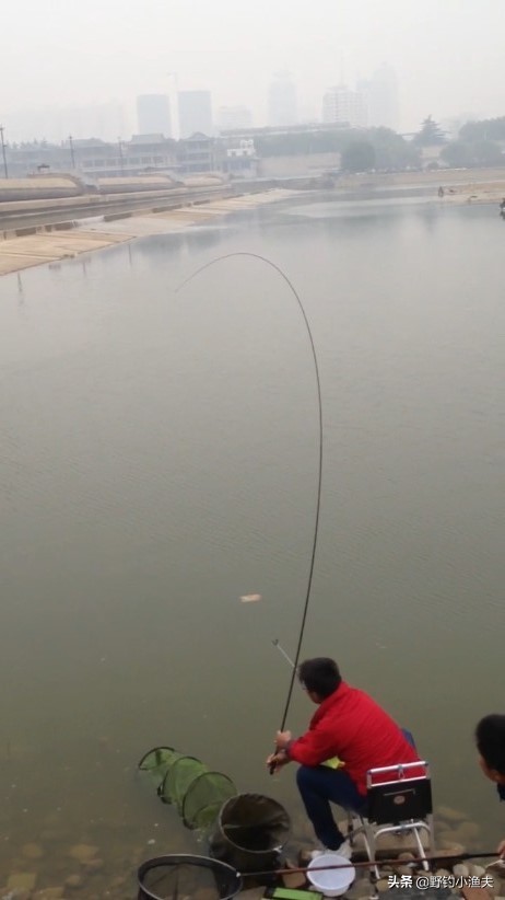 塘塘钓鱼日记,钓鱼日记铁堰水库