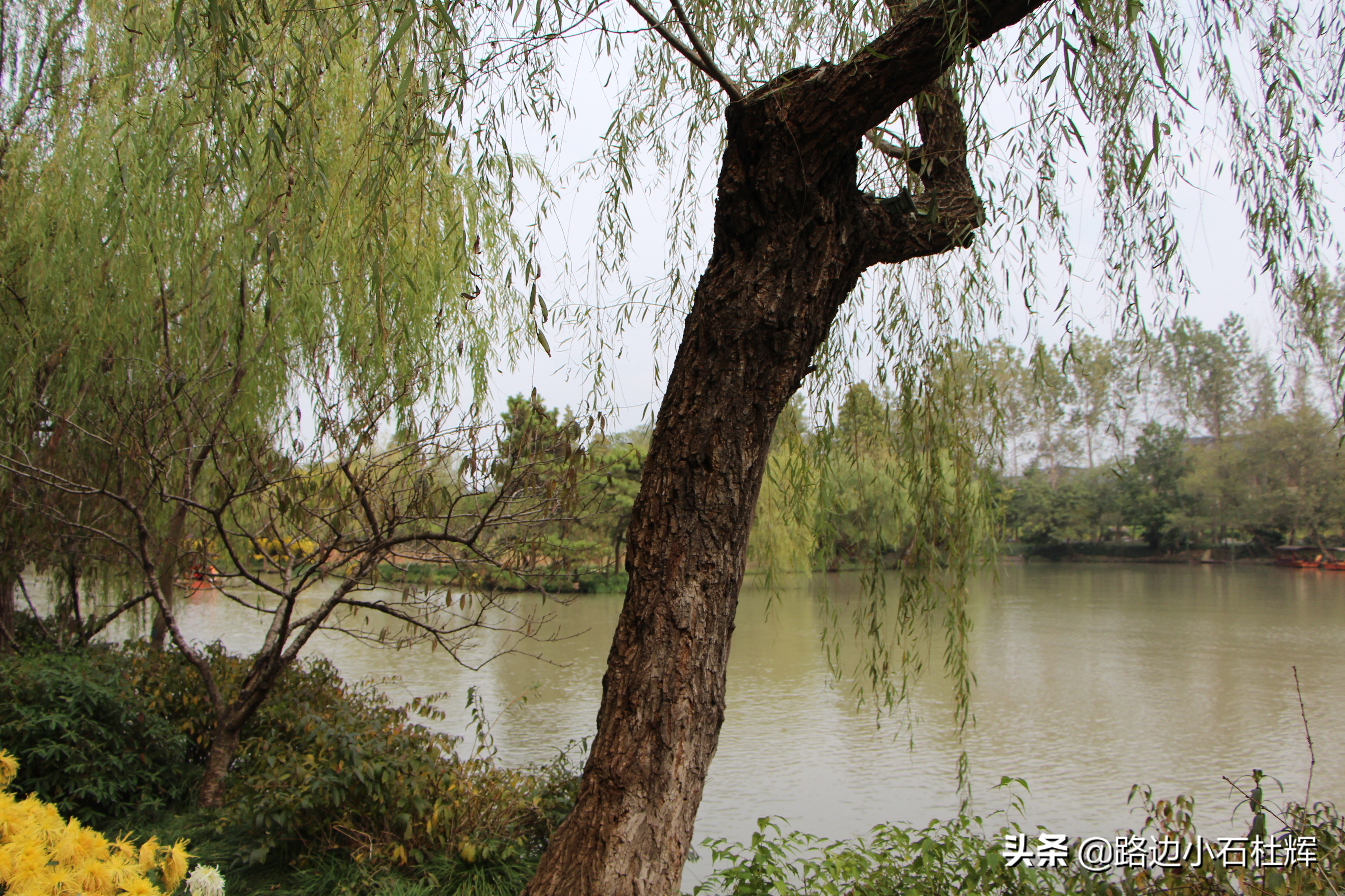 扬州瘦西湖之行,扬州瘦西湖游一圈