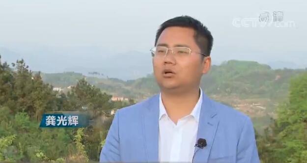 海归博士养土鸡,90后青年回家养土鸡