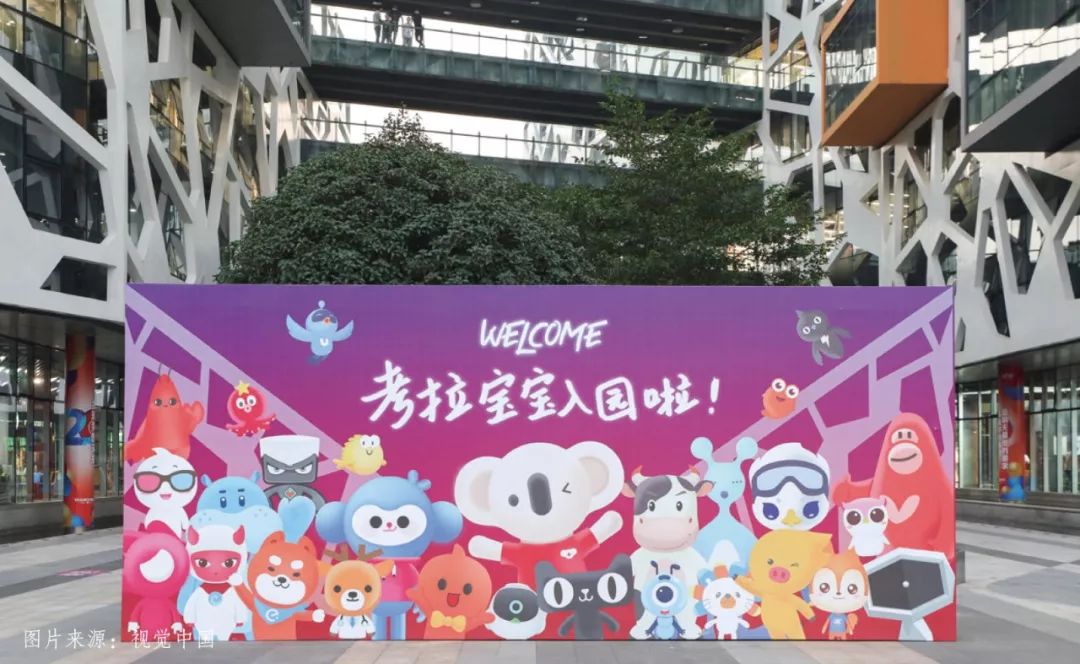 丁磊为什么卖掉网易考拉,丁磊养的猪怎么样了