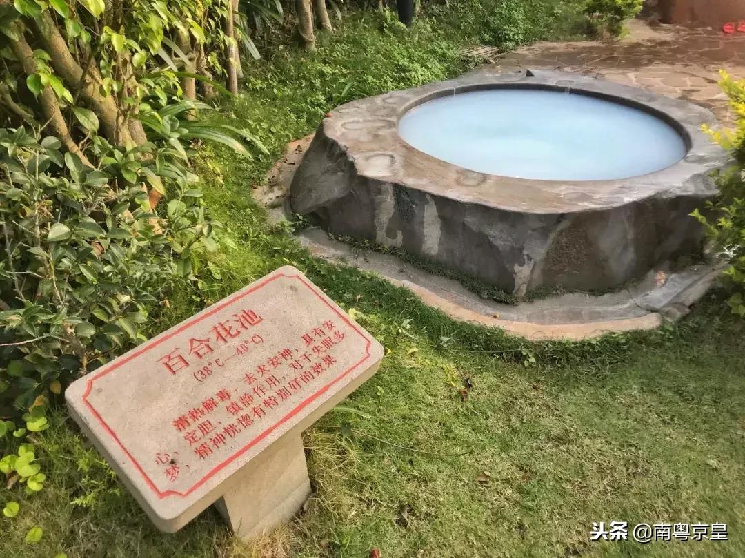 温泉季，到冬无严寒的湛江雷州樟树湾五星温泉度假村二日游