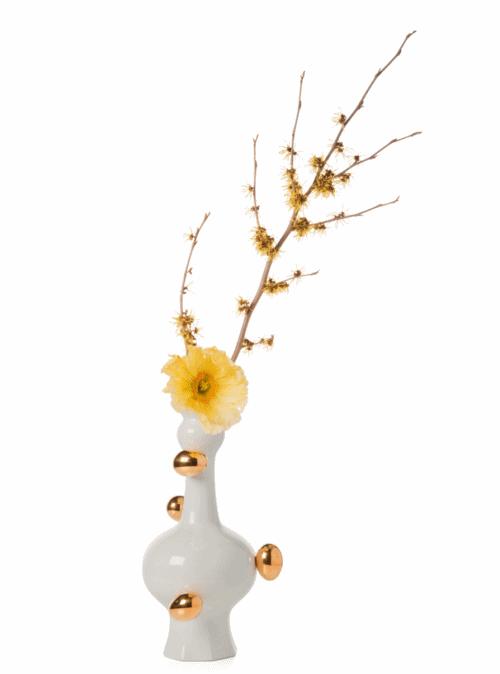 让深秋更有意义，创意美学品牌moooi描述独特的美丽