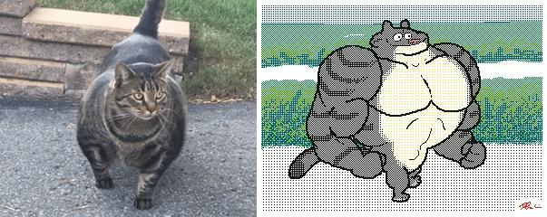 朋友圈九宫格喜感视频,开心到模糊的搞笑动图