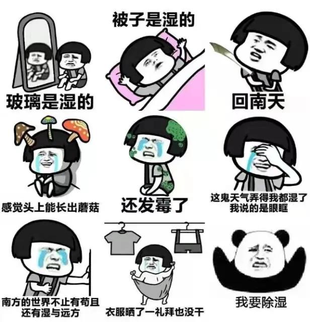 回南天的威力，我从未怕过