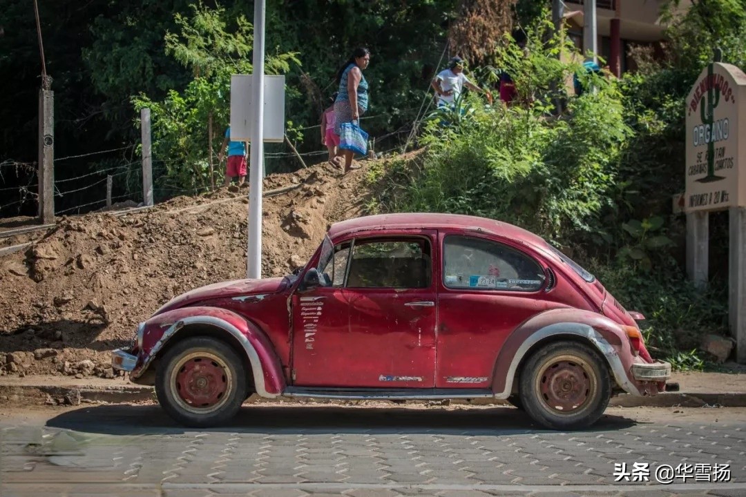 在这里你可以看到绚烂多彩的甲壳虫，因为他们是这里的精灵