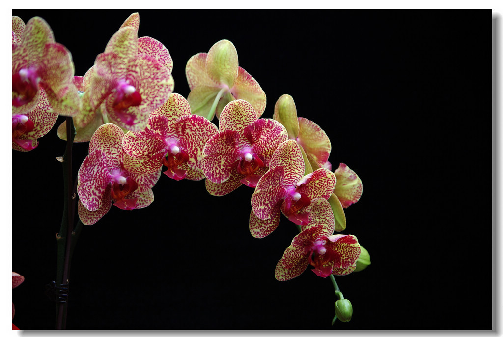 拥有这“二多二少”，你就是个幸福的人