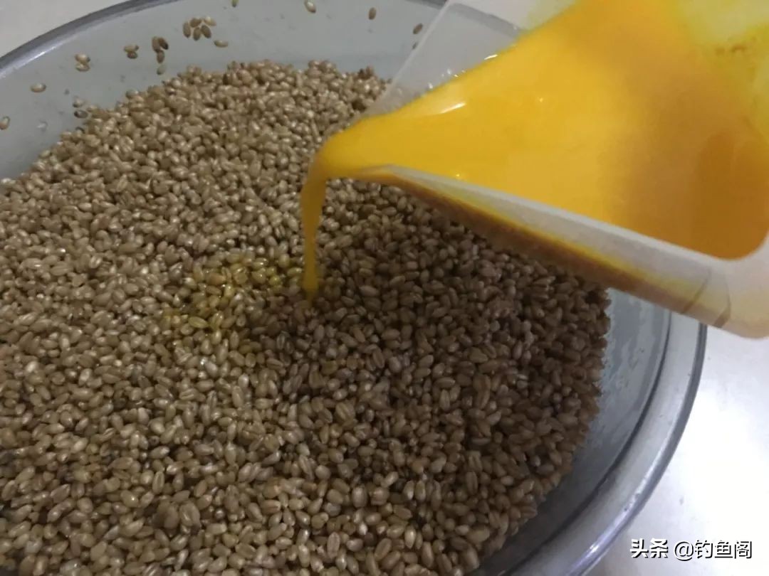 自制干小麦窝料专攻大板鲫,自制草鳊青鲫通杀窝料