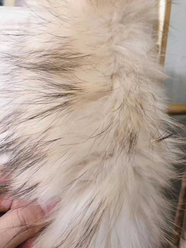 品牌女装尾货批发连衣裙,品牌女装尾货批发直播