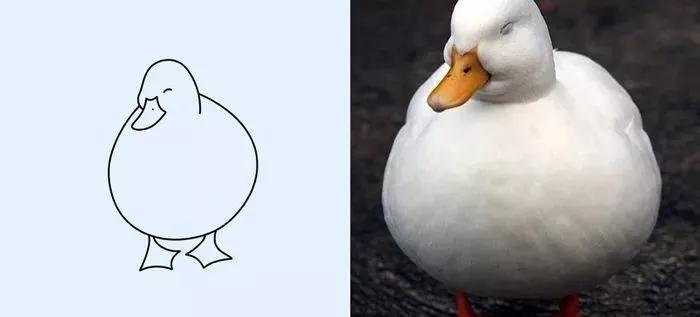 一波可爱动物简笔画,超火的简笔画动图