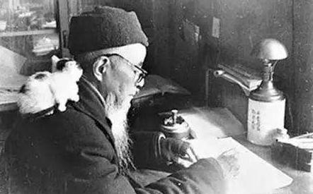 钱钟书宠猫狂魔完整版,林徽因与钱钟书猫的故事