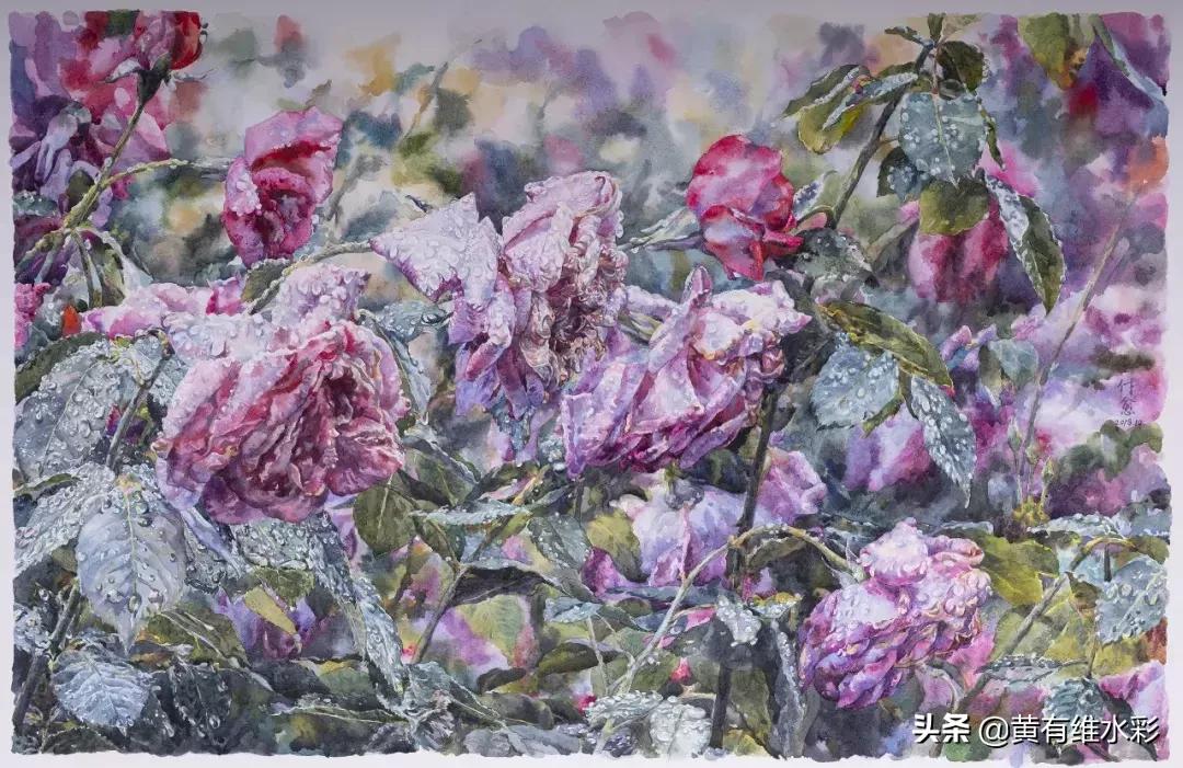 小清新水彩画玫瑰花,水彩画雨中玫瑰