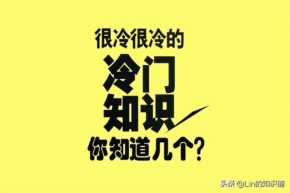 12个趣味冷知识,10个有趣的冷知识你知道多少