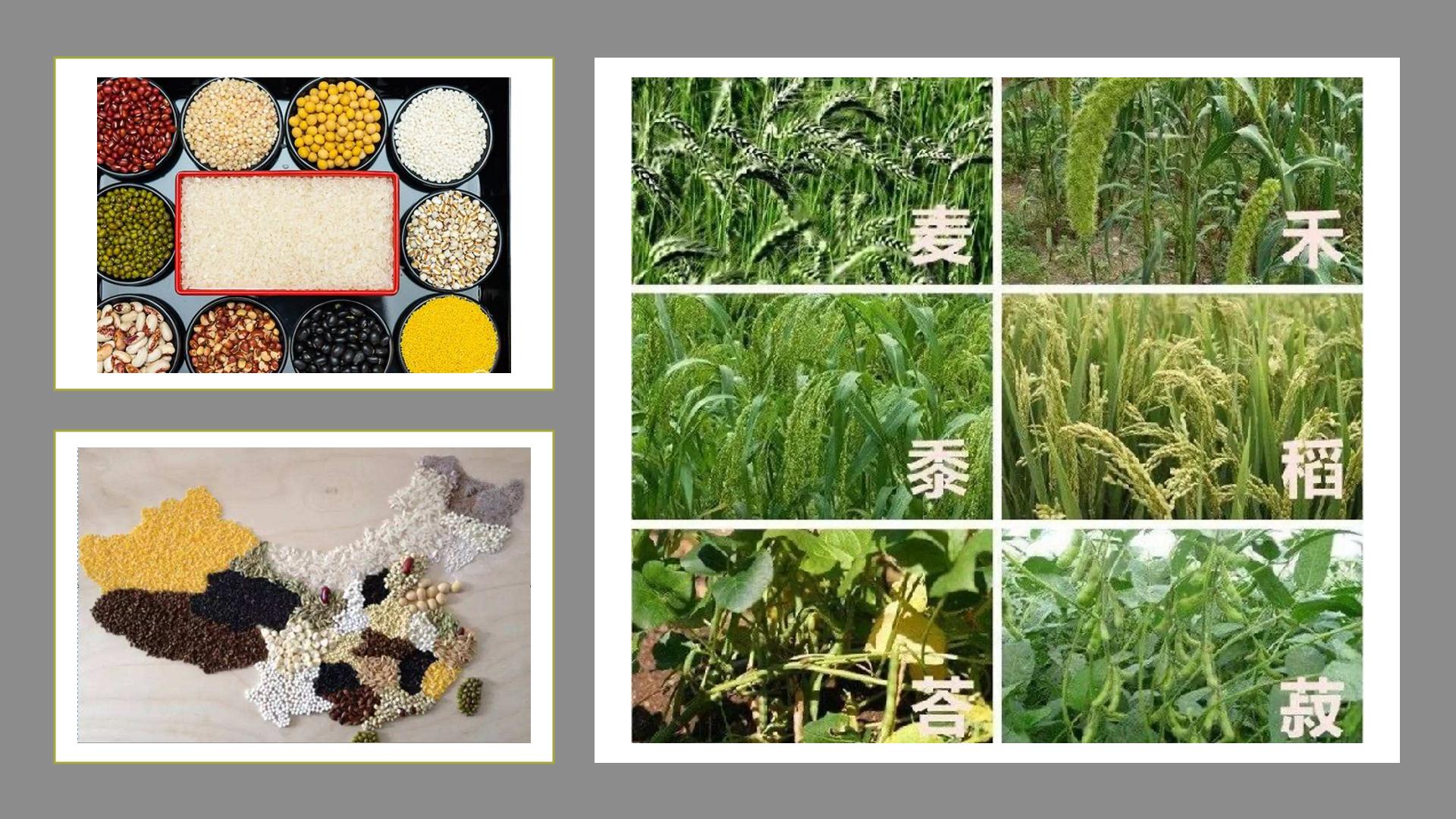 南北朝饮食指南（上篇）——“贾思勰私房菜”：主食与调味