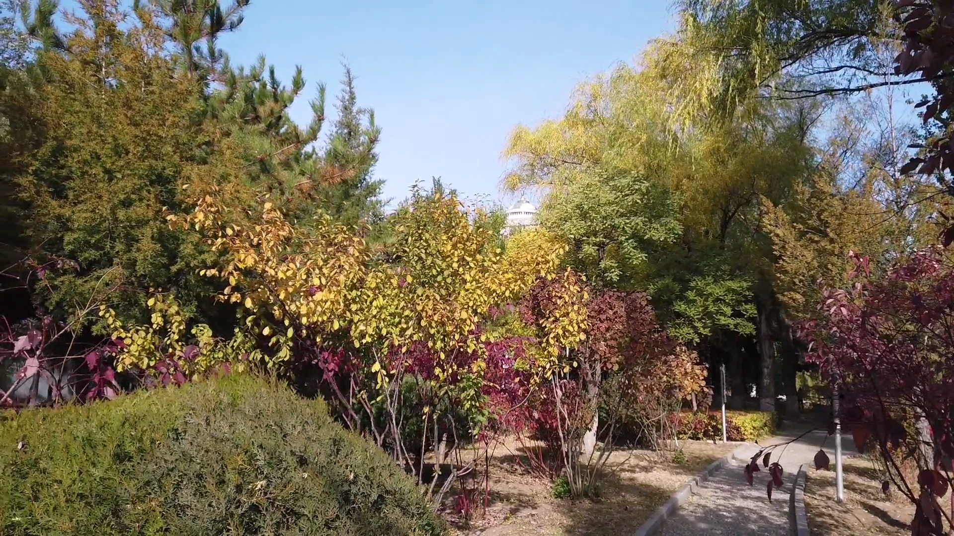 呼和浩特满都海公园晚上,呼和浩特市满都海公园有什么特点