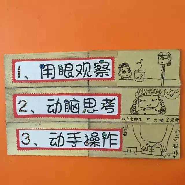 幼儿园区角环境布置入区规则,幼儿园种植区规则标牌