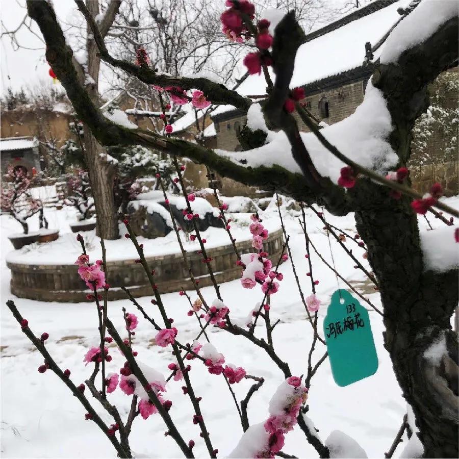 安心在家看视频,安心在家拍摄视频