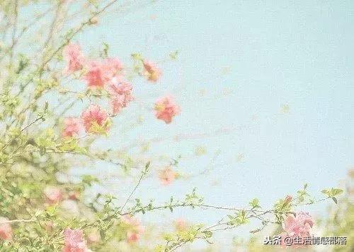 适合个性签名的简短句子,适合做个性签名的句子独特有风格