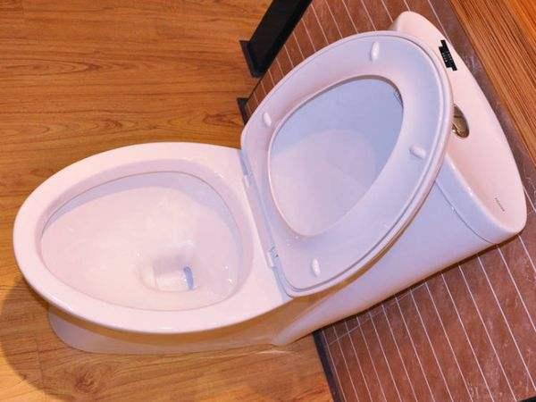 toto直冲式马桶和虹吸式马桶区别,怎么知道马桶是直冲式还是虹吸式