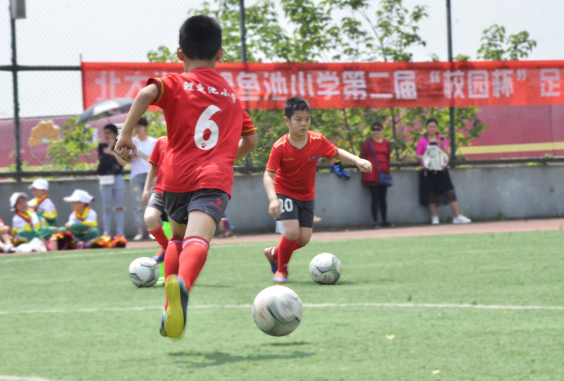北大资源鲤鱼池小学视频,北大资源鲤鱼池小学图片