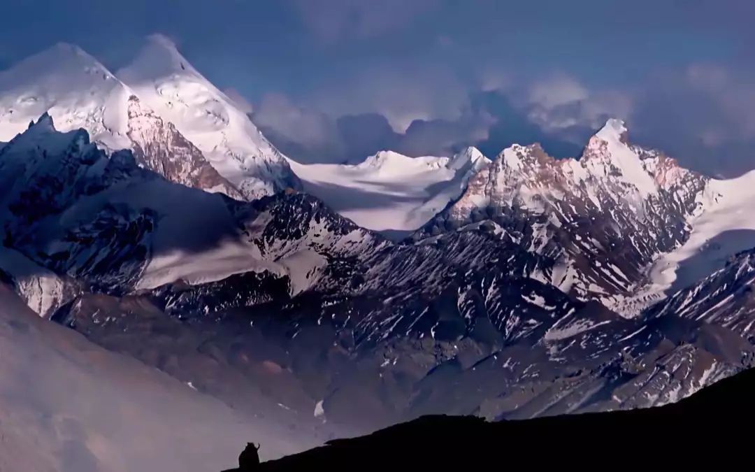 bbc十大经典纪录片在哪里下载,100部bbc经典纪录片网盘