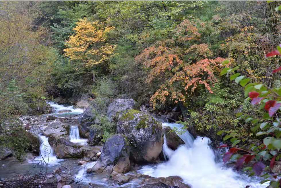 中小旅行社如何发展,小型旅行社的营销建议