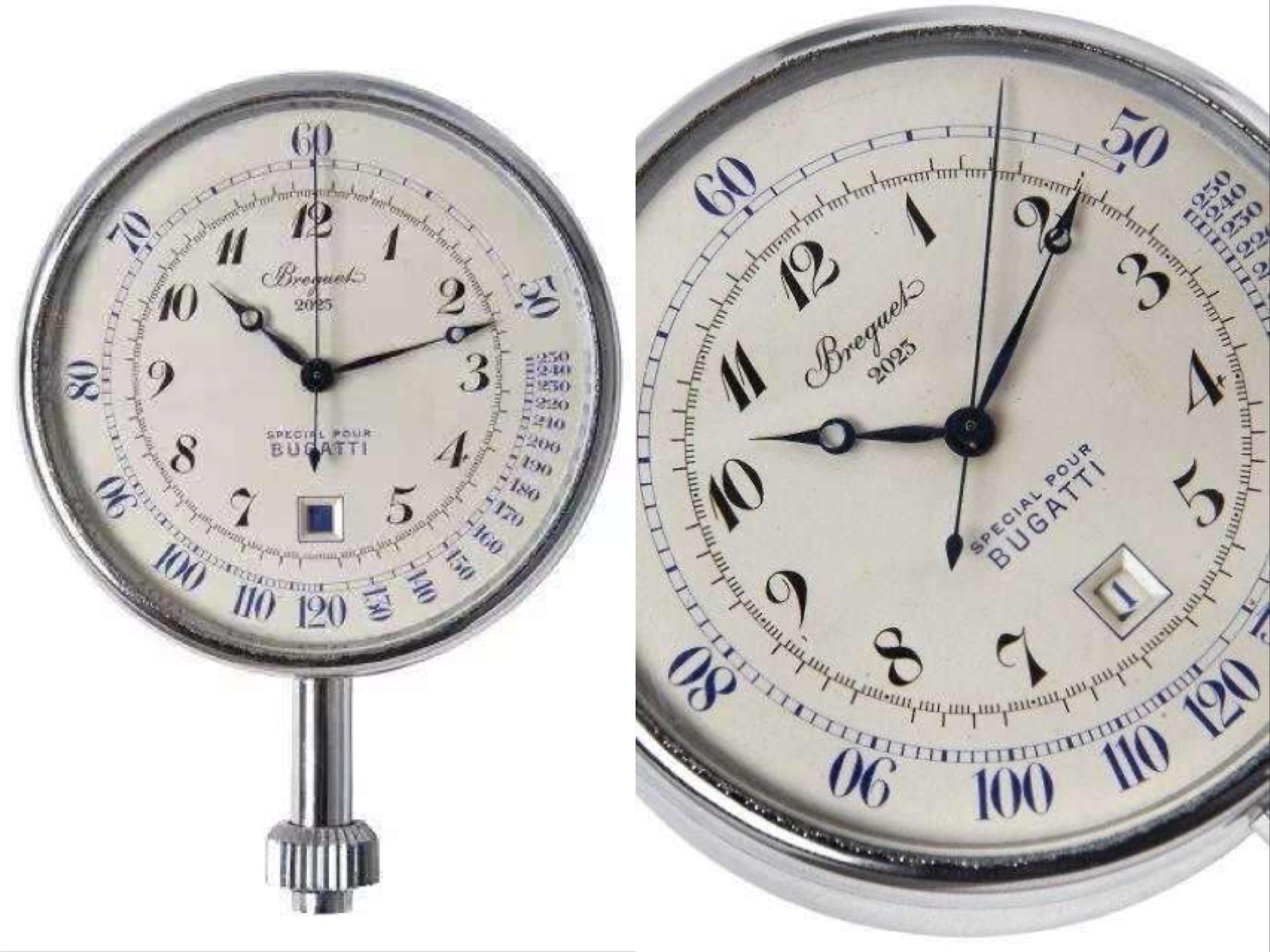 百里鸽,百里乳鸽