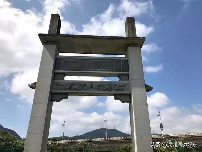 深圳白天游玩公园景点推荐,深圳红树林公园日落