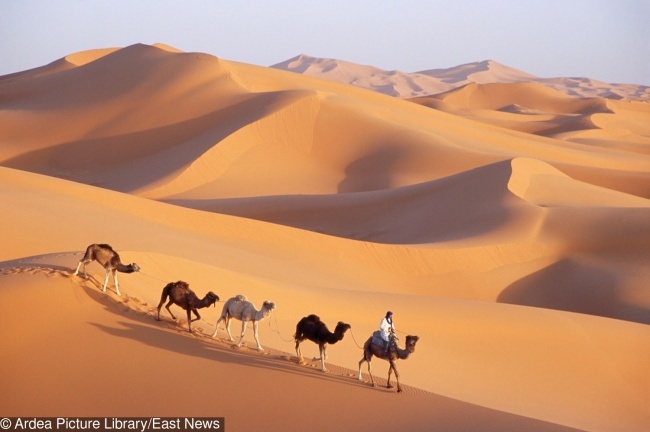 7个有趣的冷知识,7个有意思的冷知识题库