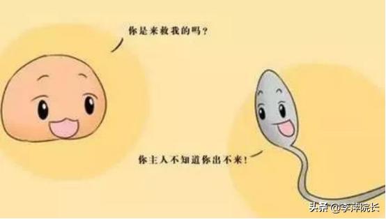 卵子长大不破卵是什么原因,卵子长大了不排能打针促排吗