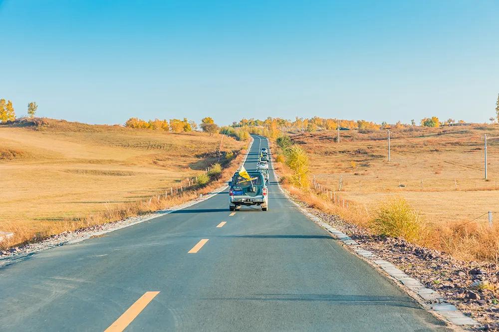 坝上秋色之金色草原,坝上金色草原风景