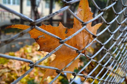 北戴河之旅美丽的大海,北戴河十月份旅游攻略景点必去