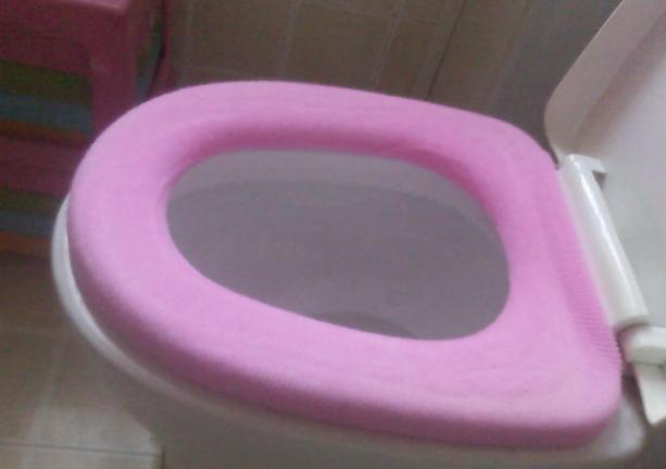 马桶怎么用干净又卫生呢,马桶圈用完了应该掀上去吗