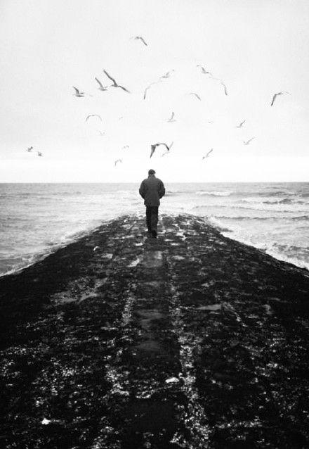 玛蒂尔德的七个梦想与现实的矛盾,现实与梦想反差不一样