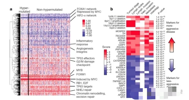 都是大肠癌，结肠癌和直肠癌到底有什么区别？