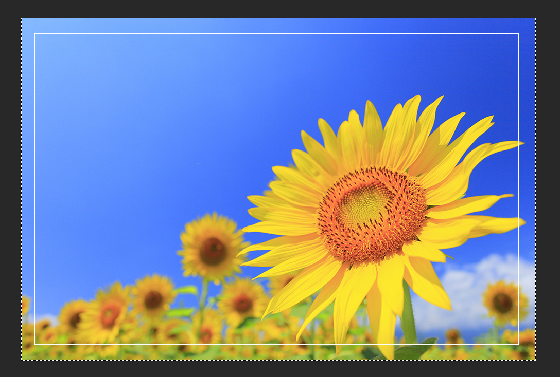 怎么给照片弄上漂亮的边框,怎么给照片加边框更好看