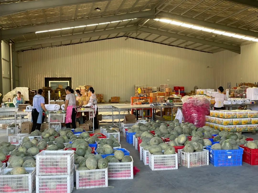 新疆农产品电商推介,新疆特点农产品杭州新电商启动