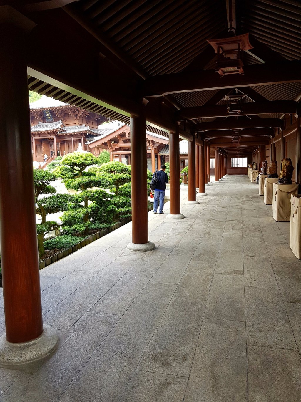 香港志莲净苑地图,香港志莲净苑好玩吗