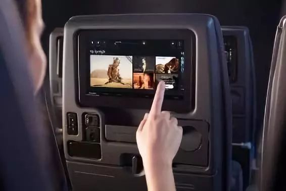 澳洲｜春意堪培拉，看袋鼠、品酒、赏花、住进动物的家