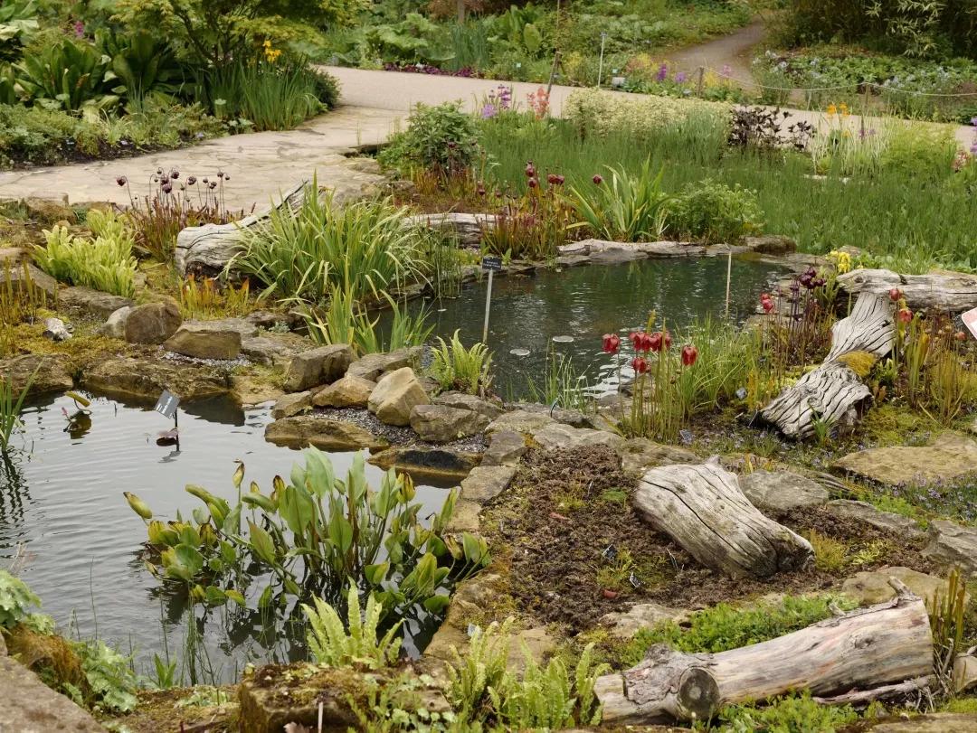 建一座完全不打药的生态花园，所有生命在这里和谐共处，值得收藏